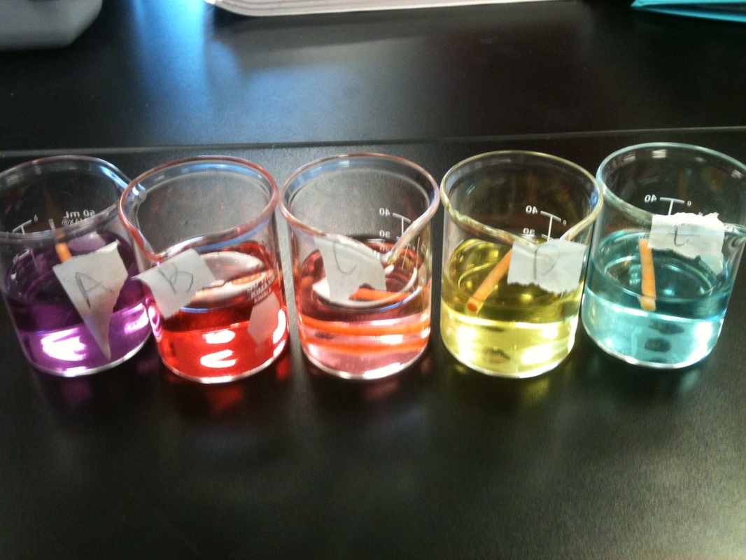 Osmosis and Diffusion Lab AP Biology Lab NotebookBy Stephanie Strong